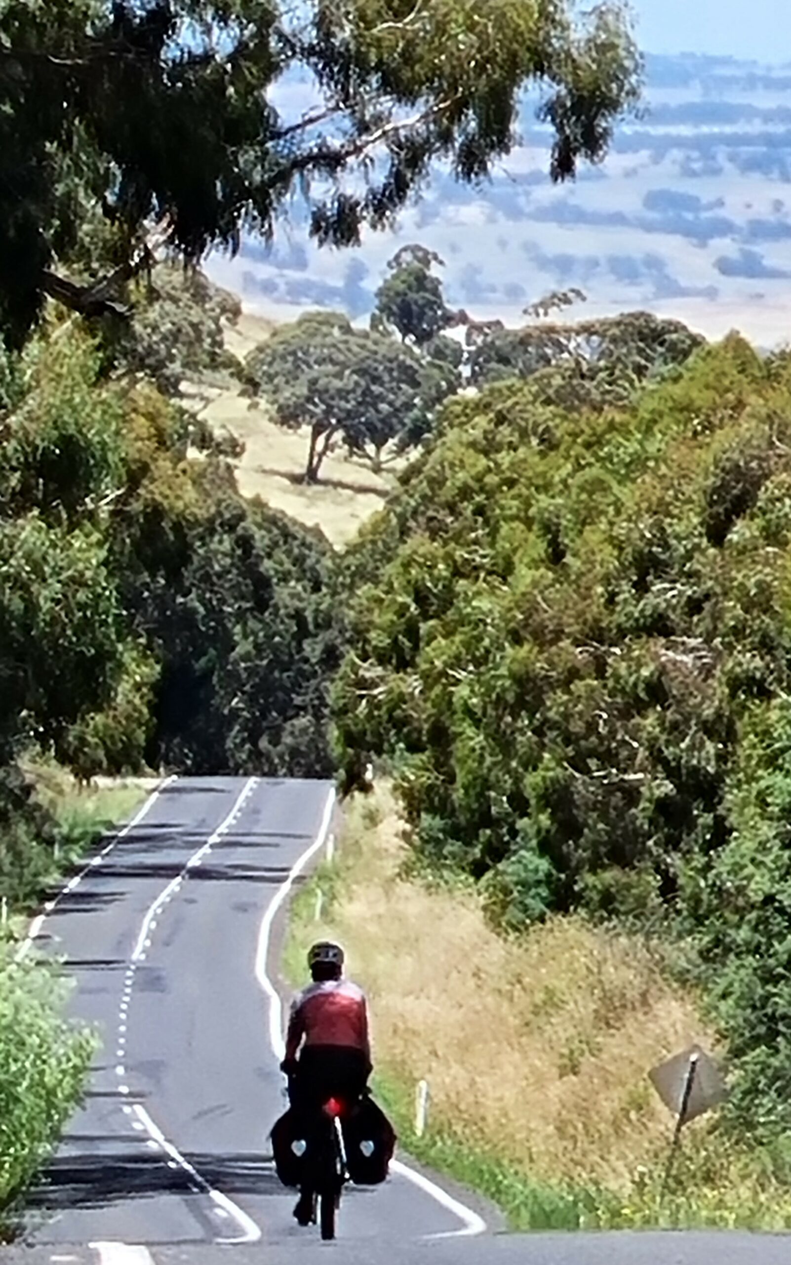 A woman riding a vivente bike on a road