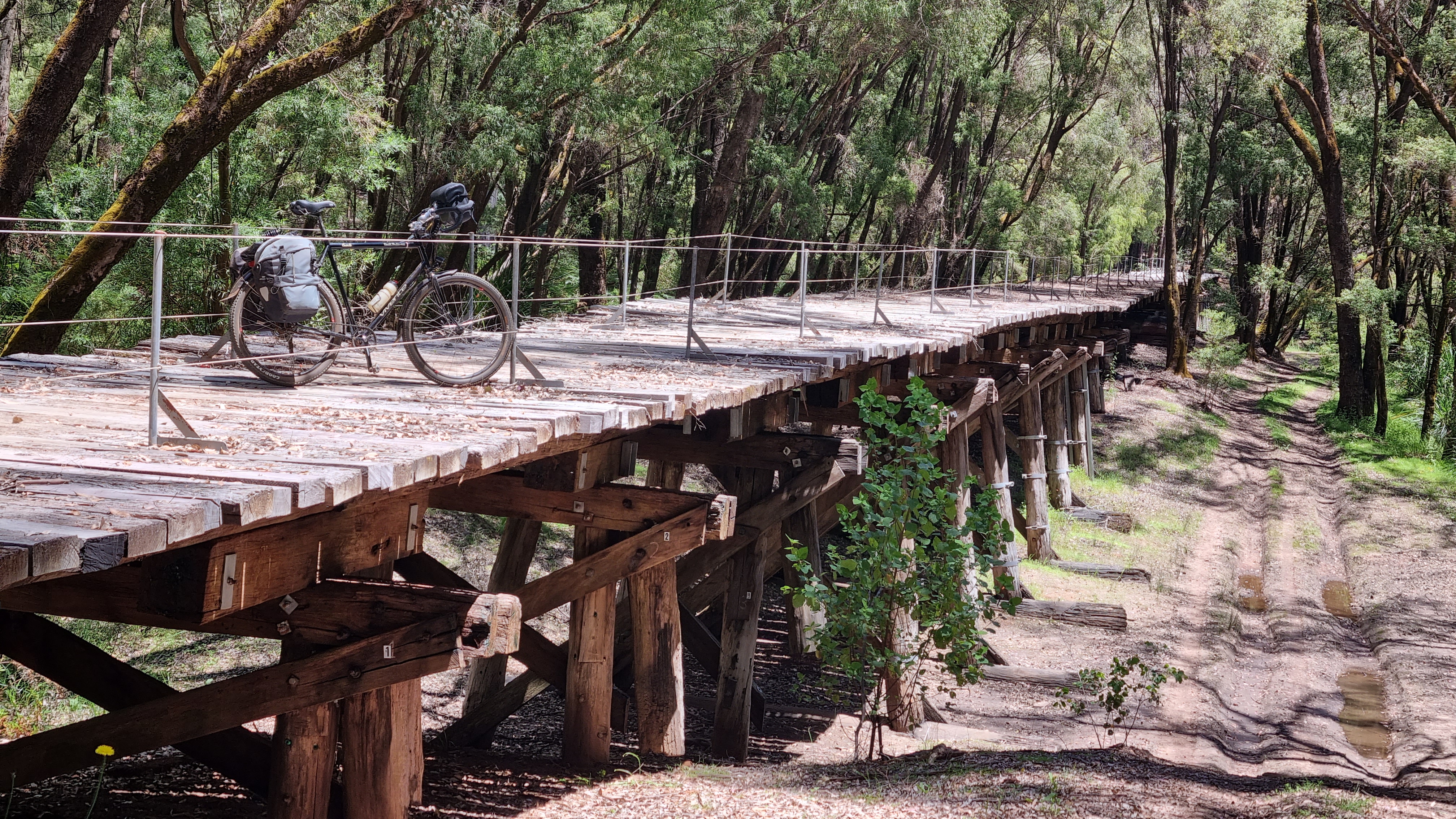 A deserted railway bridge on the Munda Biddi Trail