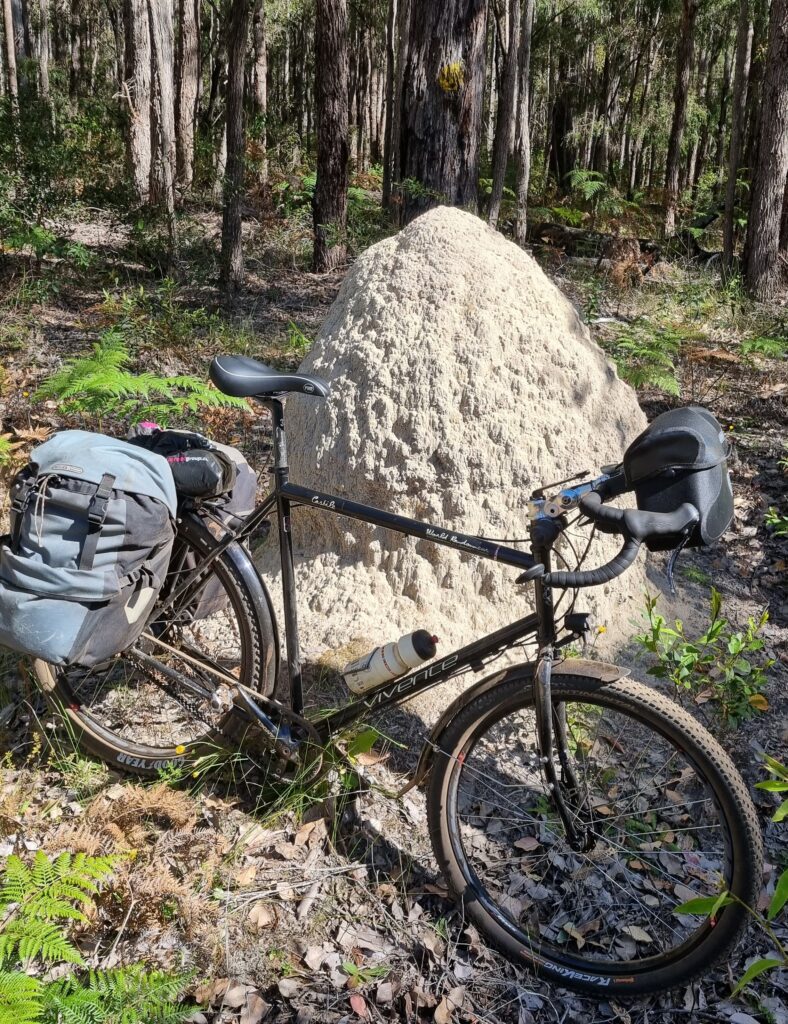 A Vivente touring bike resting again a huge ant nest on the Munda Biddi trail, Western Australia
