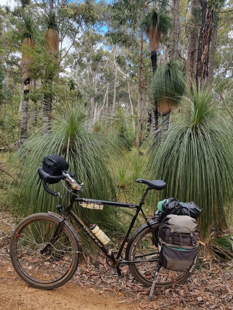 A Vivente touring bike sits next to Western Australian grass trees.