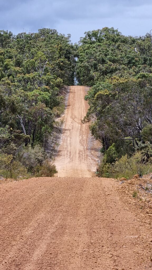 A hill on the Munda Biddi trail