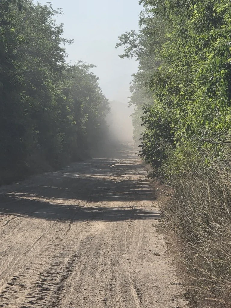 A dirt road.